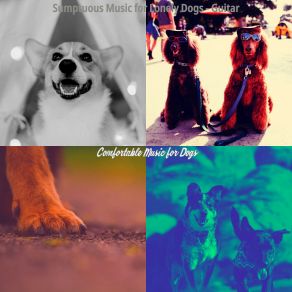 Download track Wicked Dogs Comfortable Music For Dogs