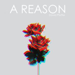 Download track A Reason (Acoustic Version) David Pfeffer