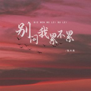 Download track 别问我累不累 (Dj彭锐版伴奏) 张大美彭锐