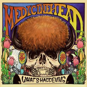 Download track Interstellar Blues MedicineHead