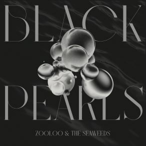 Download track Voodoo Doll Zooloo, The Seaweeds