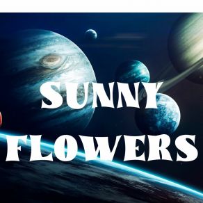 Download track FERRARI CAR MUSIC TONIGHT BBK Sunny Flowers