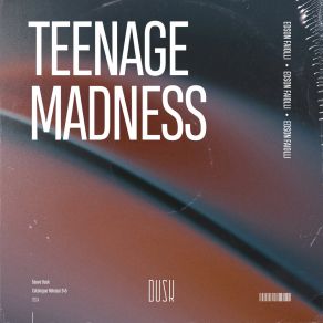 Download track Teenage Madness Edson Faiolli