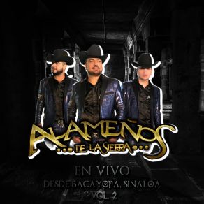 Download track Demetrio El Asaltante (En Vivo) Los Alameños De La Sierra