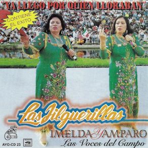 Download track Mi Todo Y Mi Nada Las Jilguerillas