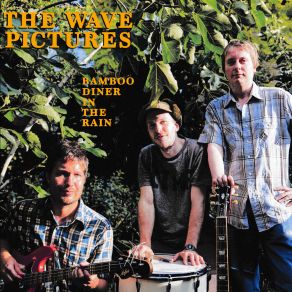 Download track Bamboo Diner In The Rain The Wave Pictures