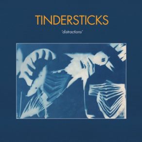 Download track The Bough Bends Tindersticks