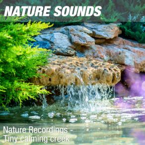 Download track Nature Sounds For Study, Focus & Work (Calm Forest Pond) 22 Nature Sounds