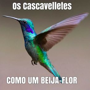 Download track Aliviamos A Dor Os Cascavelletes