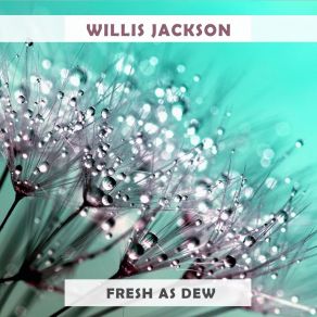 Download track Gra-A-Avy Willis Jackson