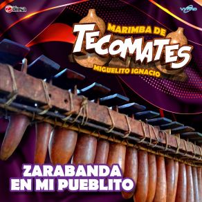 Download track En La Cumbre Marimba De Tecomates Miguelito Ignacio