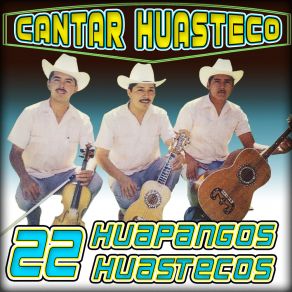 Download track El Alegre Cantar Huasteco