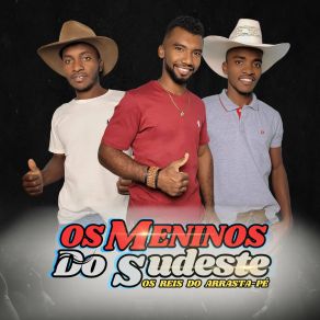 Download track Sou Peão OS MENINOS DO SUDESTE