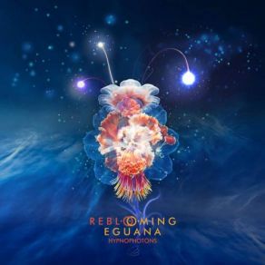 Download track Hypnotic Wave Eguana, Reblooming