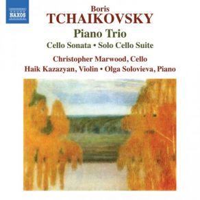 Download track Solo Cello Suite In D Minor: III. Aria. Adagio Olga Solovieva, Haik Kazazyan, Christopher Marwood