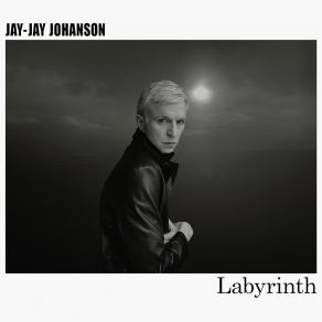 Download track Labyrinth (Timmy Timid Remix) Jay - Jay Johanson