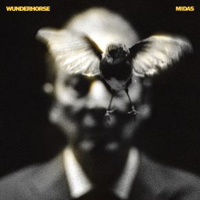 Download track Midas Wunderhorse