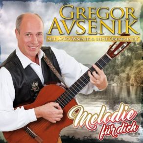 Download track Musikanten Unterwegs Gregor Avsenik