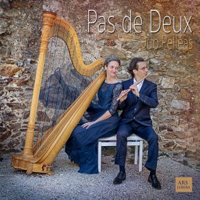 Download track Pas De Deux (D'après Le Ballet Alzire) Cécile Maudire, Florent Bontron