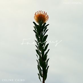 Download track Famous (Piano Version) Celine Cairo