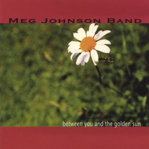 Download track Could It Be Meg Johnson Band