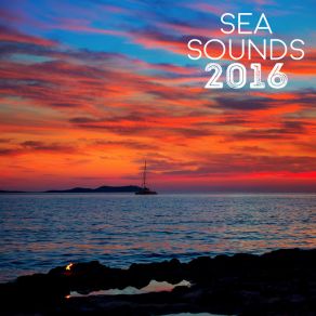 Download track Waves: The Sea Various Artists