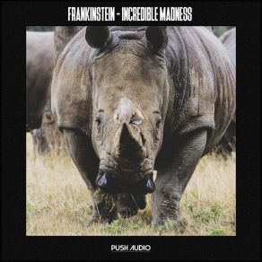 Download track Incredible Madness Frankinstein