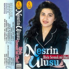 Download track Yaşamın Tarifi Nesrin Ulusu