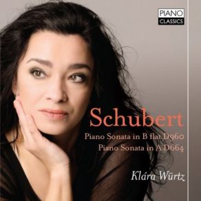 Download track Piano Sonata In B-Flat Major, D. 960: II. Andante Sostenuto Klara Wurtz