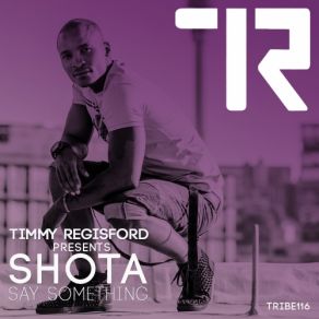 Download track Say Something (Adam Rios Shelter Mix) Shota