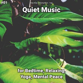 Download track Quiet Music, Pt. 8 Yoga