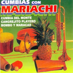 Download track Ropavejero Mariachi Ramon Palomar