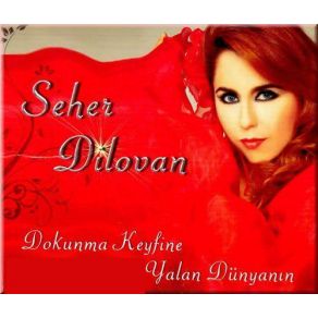 Download track Hakka Gider Seher Dilovan