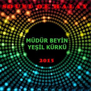 Download track Zeytinyağlı Yiyemem Sound Of Halay