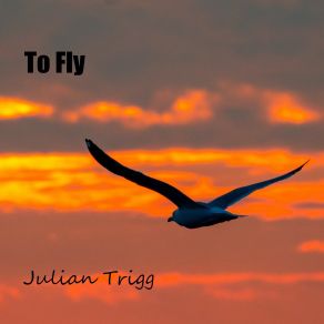 Download track To Fly Julian Trigg