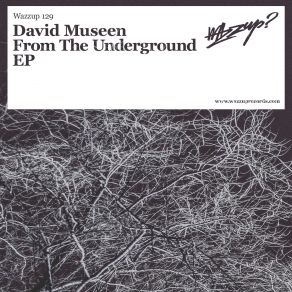 Download track From The Underground (Original Mix) David Museen