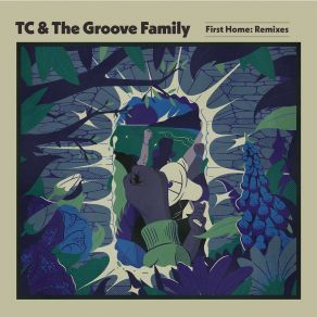 Download track Sleeping Lions (Rundr Remix) TC & The Groove FamilyRundr