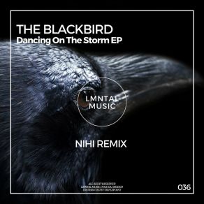 Download track Dancing On The Storm (Original Mix) Blackbird