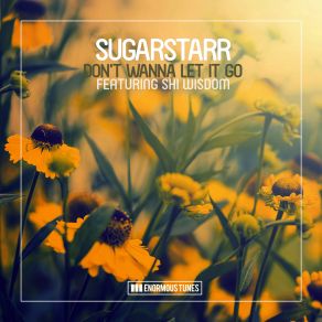 Download track Dont Wanna Let It Go (Original Mix) Sugarstarr, Shi Wisdom