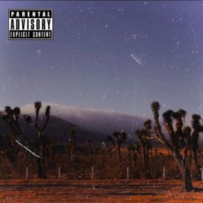 Download track Batallas En El Desierto Flxws De Barrio