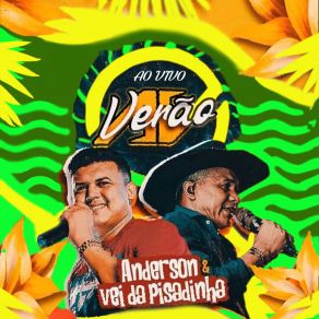 Download track Senta No Fazendeiro (Ao Vivo) Vei Da Pisadinha