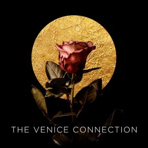 Download track Crash Into Me The Venice Connection