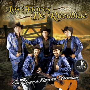 Download track Mix Para Hacer Bailar Las Estrellas: Yo He Venido A Tu Rancho / Dame Una Respuesta Los Flores De Rucalhue