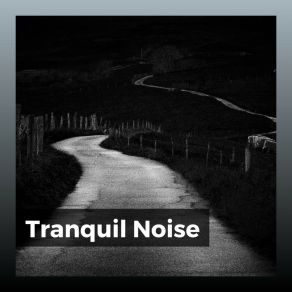 Download track Cognitive Calming White Noise, Pt. 14 White Noise Rain