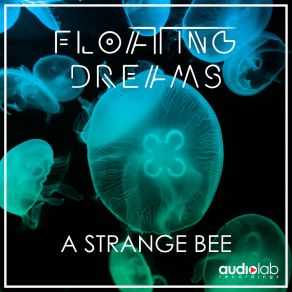 Download track The Elektro Vibrations Floating Dreams