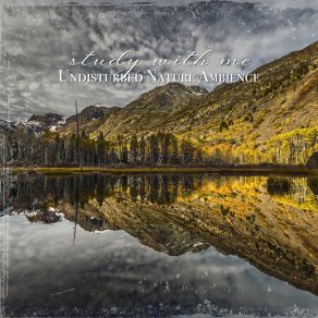 Download track Undisturbed Nature Ambience, Pt. 15 Sebastian Riegl