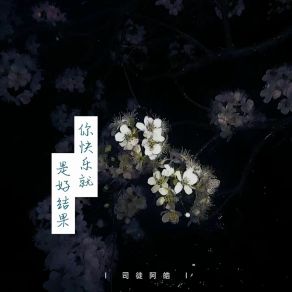 Download track 你快乐就是好结果 司徒阿皓