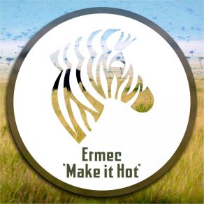 Download track Make It Hot (Original Mix) Ermec