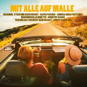 Download track Marmor, Stein Und Eisen Bricht Mike Fender