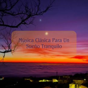 Download track Sinfonía De La Calma Daniel Melodías De Descanso